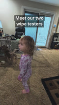 Meet Palmer and Ryer, the two wipe testers behind Stork & Sun